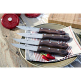 Zwilling 4 Piece Steak Knife Set