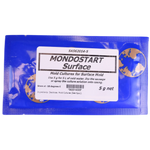 MondoStart Surface
